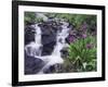 Waterfall and Wildflowers, Ouray, San Juan Mountains, Rocky Mountains, Colorado, USA-Rolf Nussbaumer-Framed Photographic Print