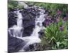 Waterfall and Wildflowers, Ouray, San Juan Mountains, Rocky Mountains, Colorado, USA-Rolf Nussbaumer-Mounted Photographic Print