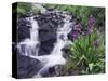 Waterfall and Wildflowers, Ouray, San Juan Mountains, Rocky Mountains, Colorado, USA-Rolf Nussbaumer-Stretched Canvas