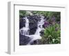 Waterfall and Wildflowers, Ouray, San Juan Mountains, Rocky Mountains, Colorado, USA-Rolf Nussbaumer-Framed Photographic Print