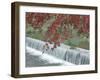 Waterfall, Arashiyama, Kyoto, Japan-Rob Tilley-Framed Premium Photographic Print