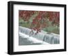 Waterfall, Arashiyama, Kyoto, Japan-Rob Tilley-Framed Photographic Print