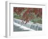 Waterfall, Arashiyama, Kyoto, Japan-Rob Tilley-Framed Photographic Print