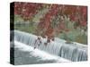 Waterfall, Arashiyama, Kyoto, Japan-Rob Tilley-Stretched Canvas