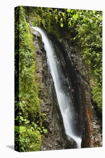 Waterfall at Arenal Hanging Bridges Where the Rainforest Is Accessible Via Walkways-Rob Francis-Stretched Canvas