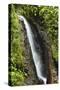 Waterfall at Arenal Hanging Bridges Where the Rainforest Is Accessible Via Walkways-Rob Francis-Stretched Canvas