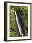 Waterfall at Arenal Hanging Bridges Where the Rainforest Is Accessible Via Walkways-Rob Francis-Framed Photographic Print