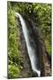Waterfall at Arenal Hanging Bridges Where the Rainforest Is Accessible Via Walkways-Rob Francis-Mounted Photographic Print