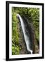 Waterfall at Arenal Hanging Bridges Where the Rainforest Is Accessible Via Walkways-Rob Francis-Framed Photographic Print