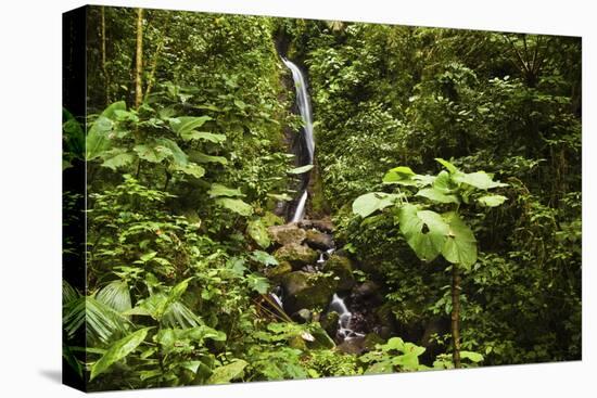 Waterfall at Arenal Hanging Bridges Where the Rainforest Is Accessible Via Walkways-Rob Francis-Stretched Canvas