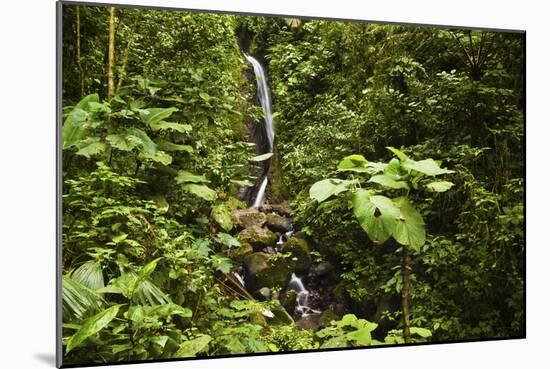 Waterfall at Arenal Hanging Bridges Where the Rainforest Is Accessible Via Walkways-Rob Francis-Mounted Photographic Print