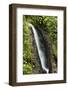 Waterfall at Arenal Hanging Bridges Where the Rainforest Is Accessible Via Walkways-Rob Francis-Framed Photographic Print