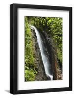 Waterfall at Arenal Hanging Bridges Where the Rainforest Is Accessible Via Walkways-Rob Francis-Framed Photographic Print