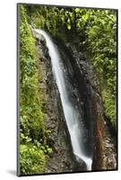 Waterfall at Arenal Hanging Bridges Where the Rainforest Is Accessible Via Walkways-Rob Francis-Mounted Photographic Print