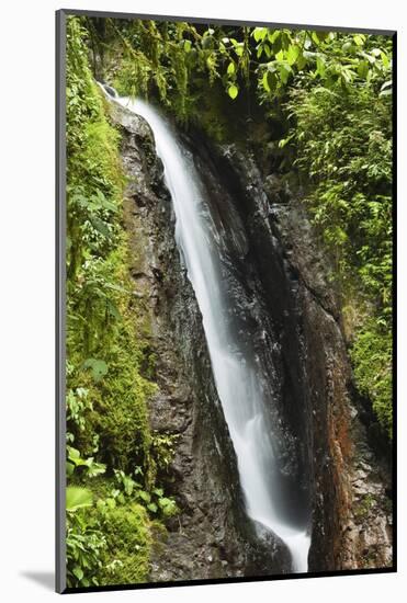 Waterfall at Arenal Hanging Bridges Where the Rainforest Is Accessible Via Walkways-Rob Francis-Mounted Photographic Print