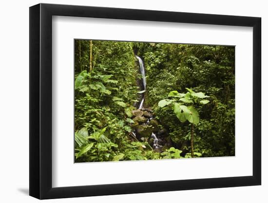 Waterfall at Arenal Hanging Bridges Where the Rainforest Is Accessible Via Walkways-Rob Francis-Framed Premium Photographic Print