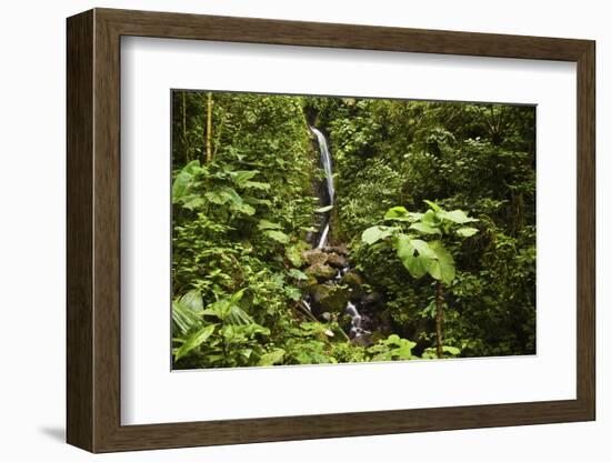 Waterfall at Arenal Hanging Bridges Where the Rainforest Is Accessible Via Walkways-Rob Francis-Framed Photographic Print