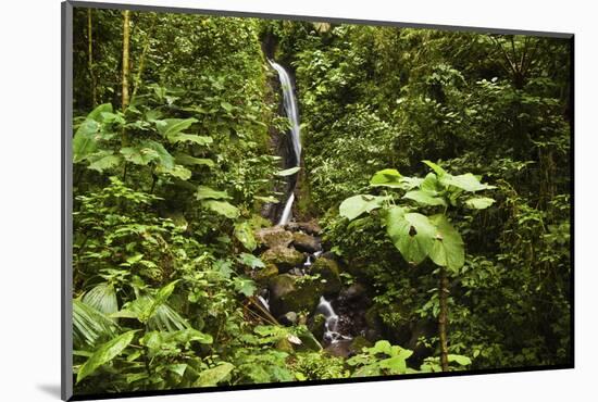 Waterfall at Arenal Hanging Bridges Where the Rainforest Is Accessible Via Walkways-Rob Francis-Mounted Photographic Print