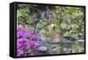 Waterfall at Crystal Springs Rhododendron Garden-jpldesigns-Framed Stretched Canvas