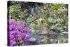 Waterfall at Crystal Springs Rhododendron Garden-jpldesigns-Stretched Canvas