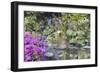 Waterfall at Crystal Springs Rhododendron Garden-jpldesigns-Framed Photographic Print