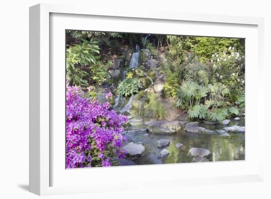Waterfall at Crystal Springs Rhododendron Garden-jpldesigns-Framed Photographic Print