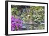 Waterfall at Crystal Springs Rhododendron Garden-jpldesigns-Framed Photographic Print