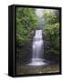 Waterfall at Mount Emei Shan, UNESCO World Heritage Site, Sichuan Province, China-Kober Christian-Framed Stretched Canvas