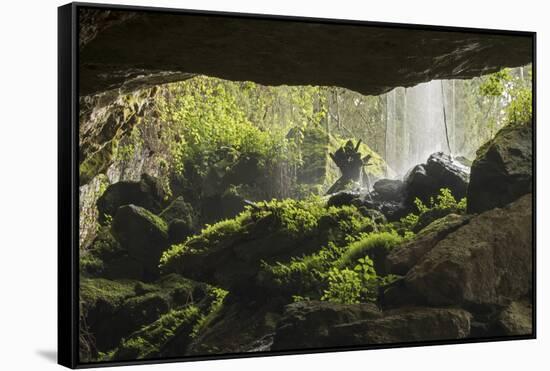 Waterfall at mouth of Kitum cave Mt. Elgon National park, Kenya, August 2017.-John Cancalosi-Framed Stretched Canvas