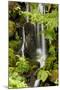 Waterfall at the Portland Japanese Garden, Washington Park in the west hills of Portland, Oregon-Adam Jones-Mounted Photographic Print