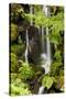 Waterfall at the Portland Japanese Garden, Washington Park in the west hills of Portland, Oregon-Adam Jones-Stretched Canvas