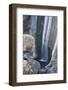 Waterfall, Baguio, Benguet Province, Philippines-Keren Su-Framed Photographic Print