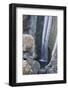 Waterfall, Baguio, Benguet Province, Philippines-Keren Su-Framed Photographic Print