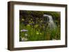 Waterfall behind wildflowers. Glacier National Park. Montana. Usa.-Tom Norring-Framed Photographic Print