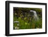 Waterfall behind wildflowers. Glacier National Park. Montana. Usa.-Tom Norring-Framed Photographic Print