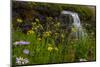 Waterfall behind wildflowers. Glacier National Park. Montana. Usa.-Tom Norring-Mounted Photographic Print