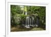 Waterfall, Blue Ridge Mountains, North Carolina, United States of America, North America-Jon Reaves-Framed Photographic Print