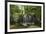 Waterfall, Blue Ridge Mountains, North Carolina, United States of America, North America-Jon Reaves-Framed Photographic Print