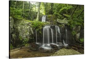 Waterfall, Blue Ridge Mountains, North Carolina, United States of America, North America-Jon Reaves-Stretched Canvas