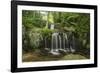 Waterfall, Blue Ridge Mountains, North Carolina, United States of America, North America-Jon Reaves-Framed Photographic Print