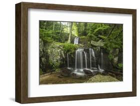 Waterfall, Blue Ridge Mountains, North Carolina, United States of America, North America-Jon Reaves-Framed Photographic Print