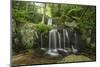 Waterfall, Blue Ridge Mountains, North Carolina, United States of America, North America-Jon Reaves-Mounted Photographic Print