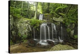 Waterfall, Blue Ridge Mountains, North Carolina, United States of America, North America-Jon Reaves-Stretched Canvas