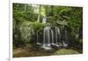 Waterfall, Blue Ridge Mountains, North Carolina, United States of America, North America-Jon Reaves-Framed Photographic Print