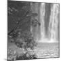 Waterfall Cascade-Tony Koukos-Mounted Giclee Print