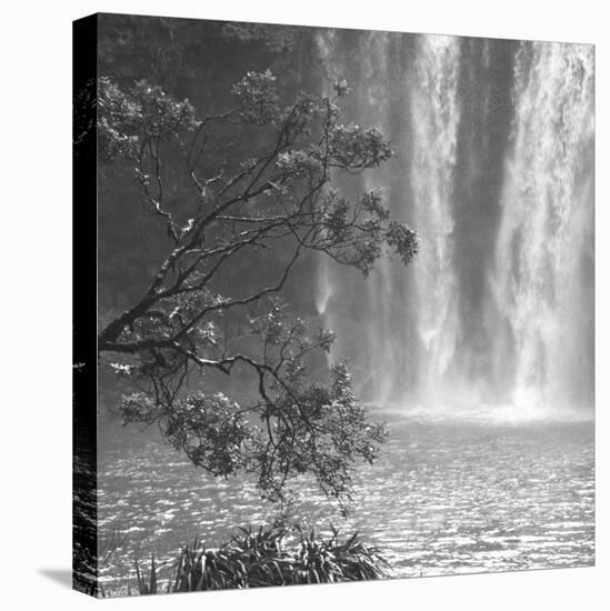 Waterfall Cascade-Tony Koukos-Stretched Canvas