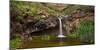 Waterfall Close Lot Caideros, Barranco, Gran Canaria, Canary Islands, Spain-Rainer Mirau-Mounted Photographic Print