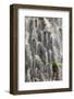 Waterfall close-up, Columbia River Gorge, Oregon-Adam Jones-Framed Photographic Print