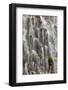 Waterfall close-up, Columbia River Gorge, Oregon-Adam Jones-Framed Photographic Print