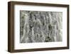 Waterfall close-up, Columbia River Gorge, Oregon-Adam Jones-Framed Photographic Print